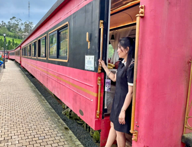 Ôn Tập lý thuyết cho học viên