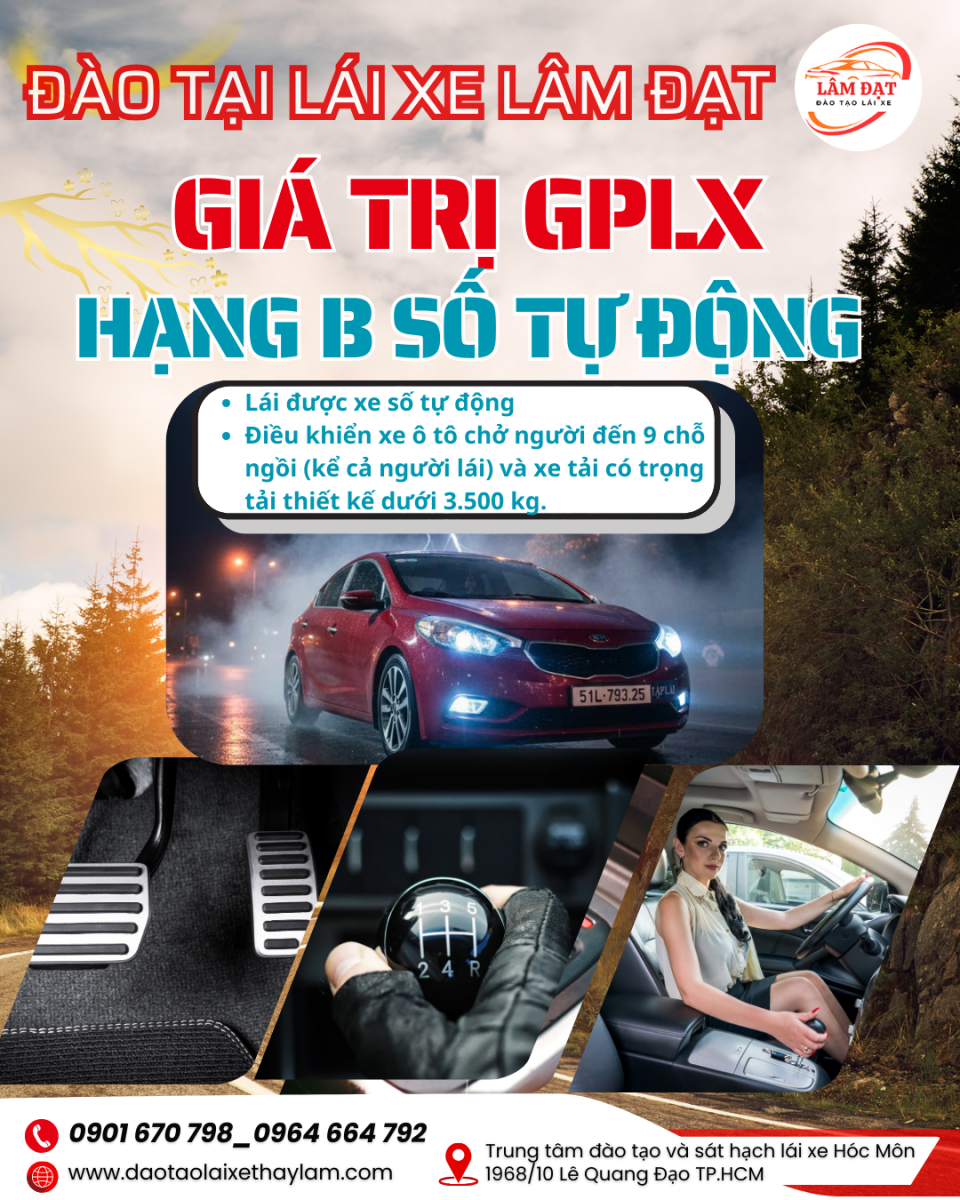 Giá trị GPLX hạng B tự động